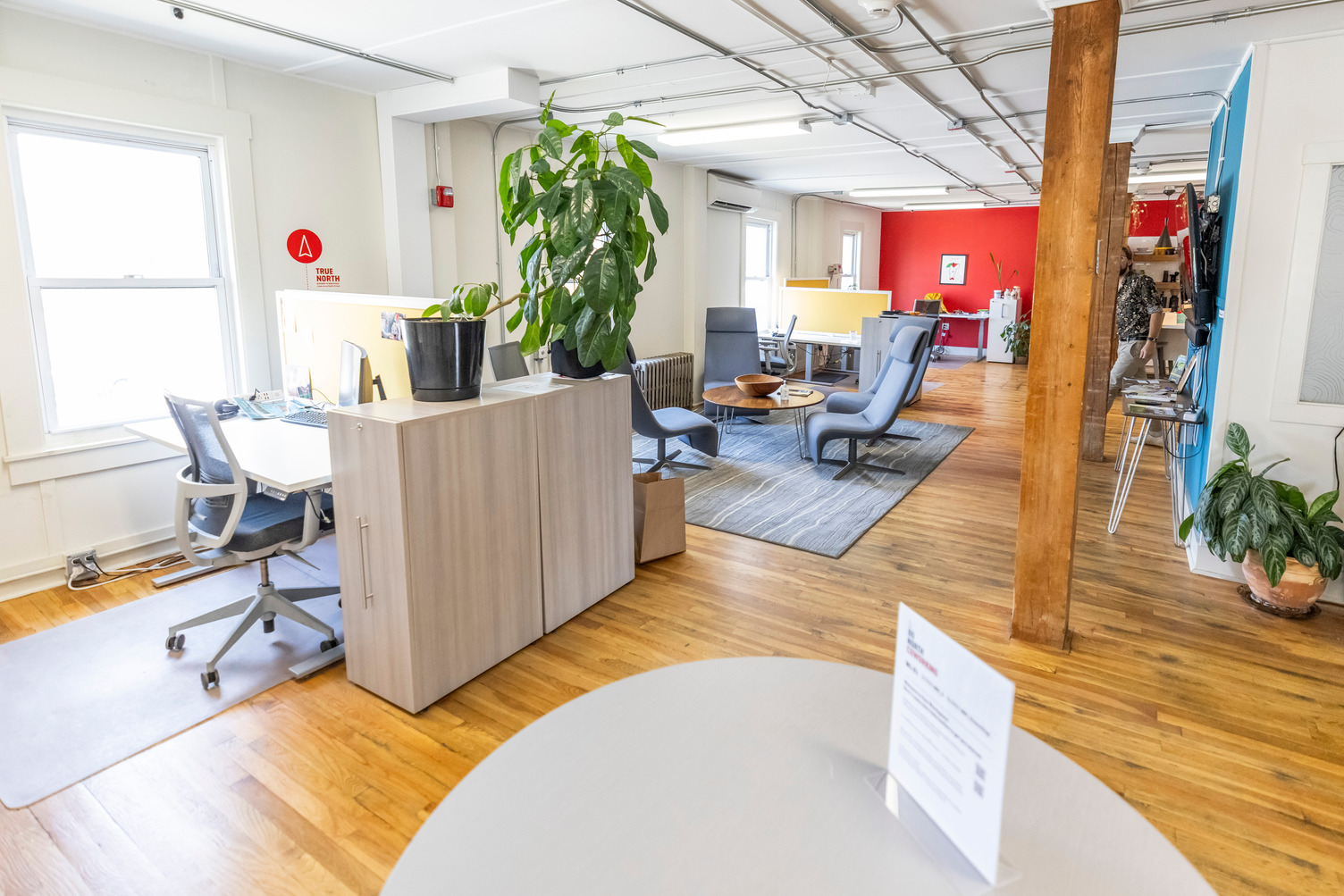 The interior of the Do North Coworking space, a brightly lit room with desks and plants