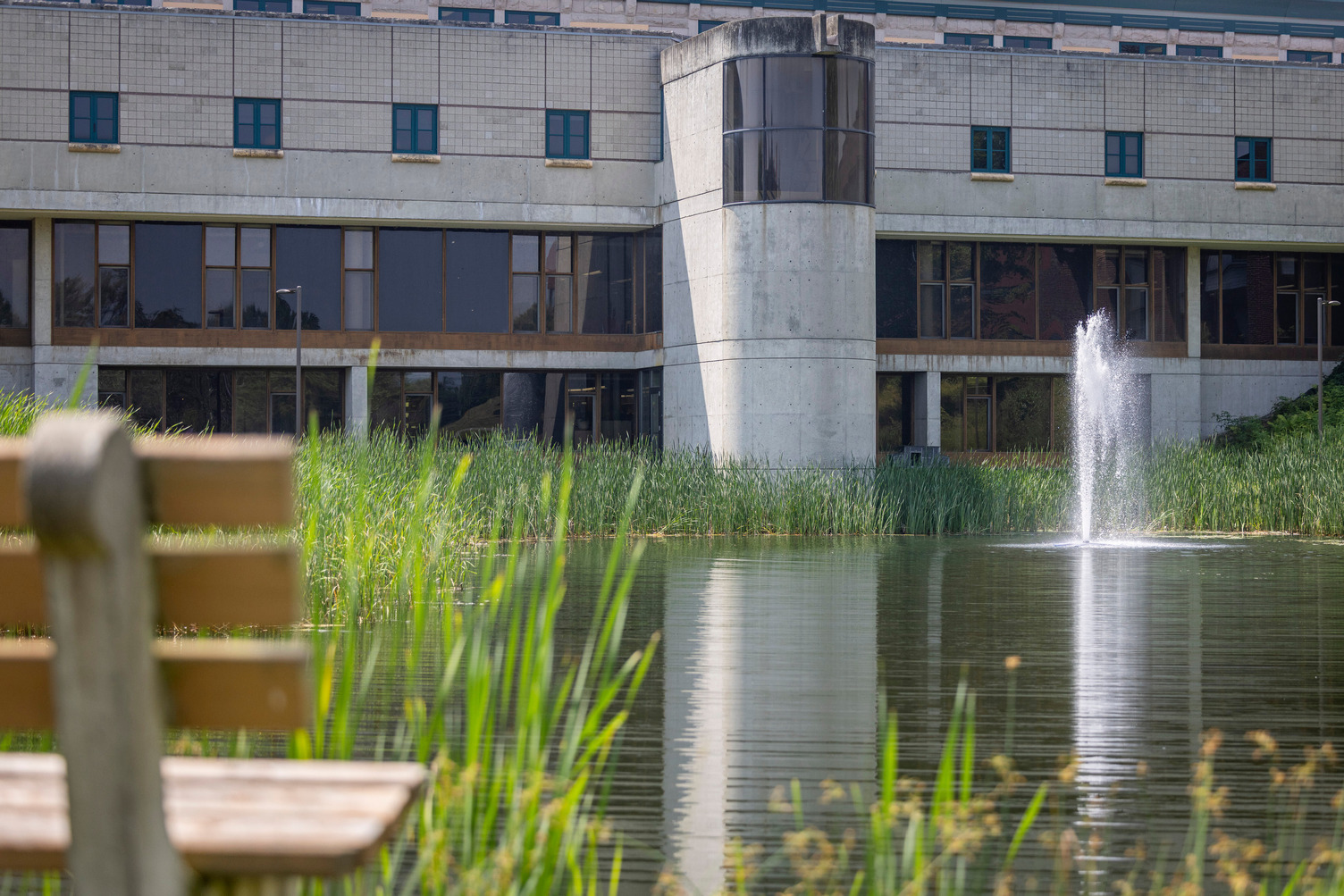 An exterior photo of Samuel Reed Library building, as seen from across the pond outside