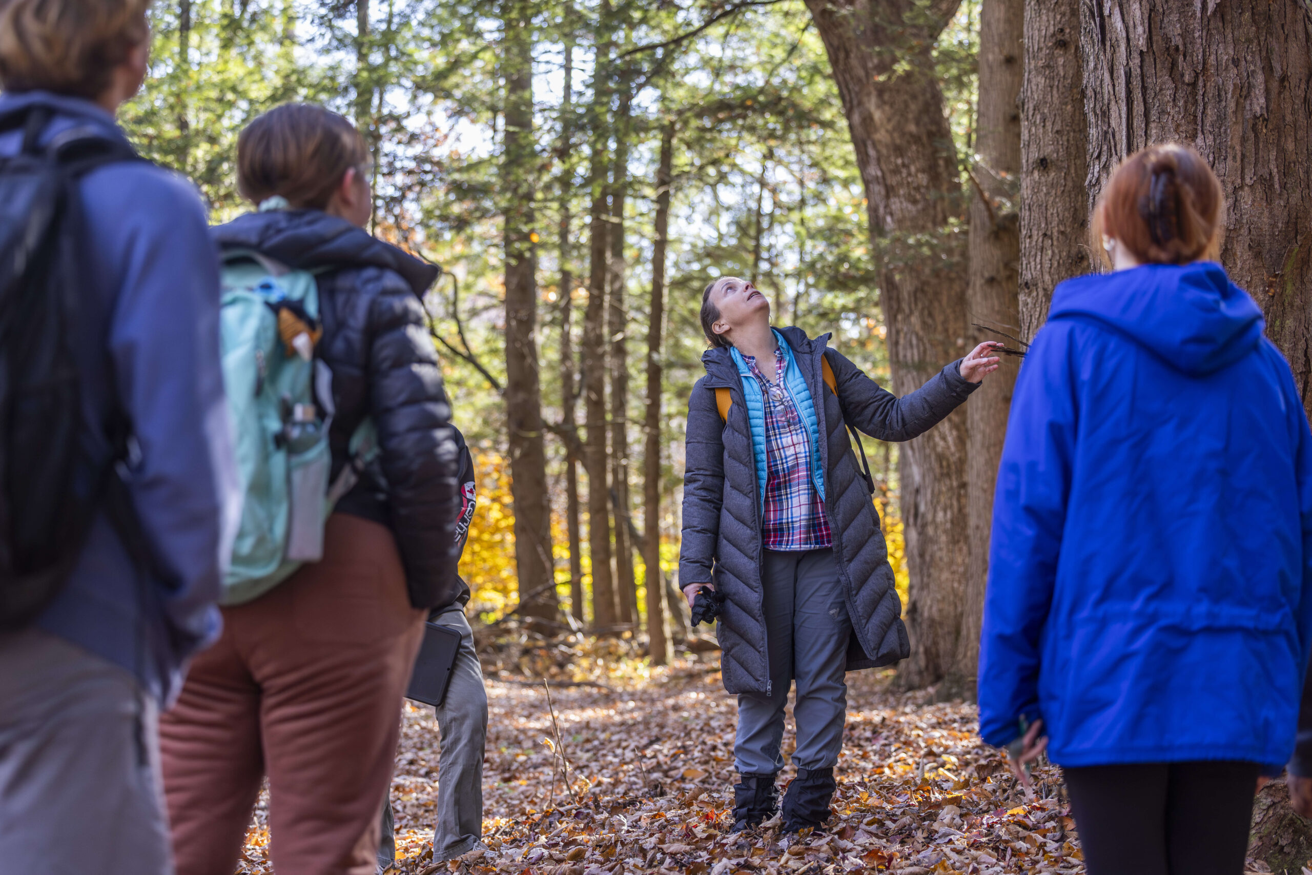 A group of students in the woods during the fall, a young woman is reaching toward a tree and looking upwards.