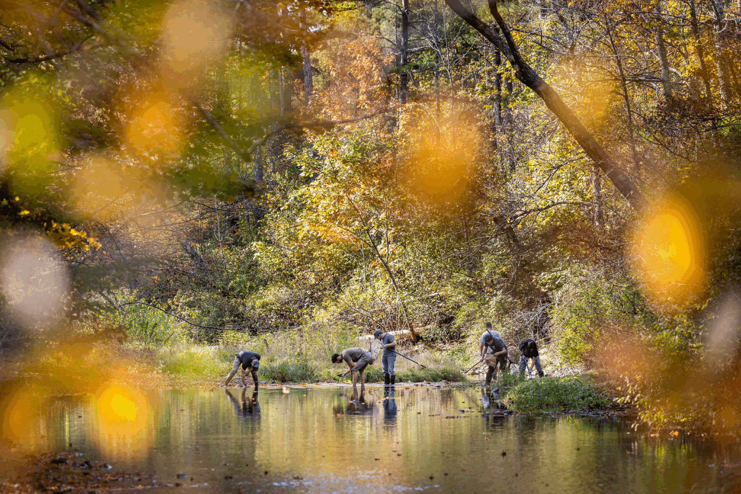 Quisque vestibulum sapien eget arcu sodales placerat